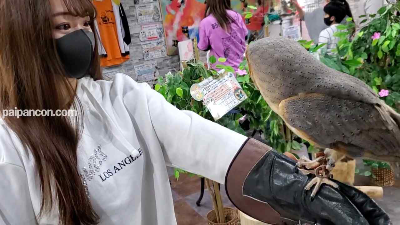 FC2-PPV-1794863 - 【初撮影】カフェで出会ったJDに中出し（前編）