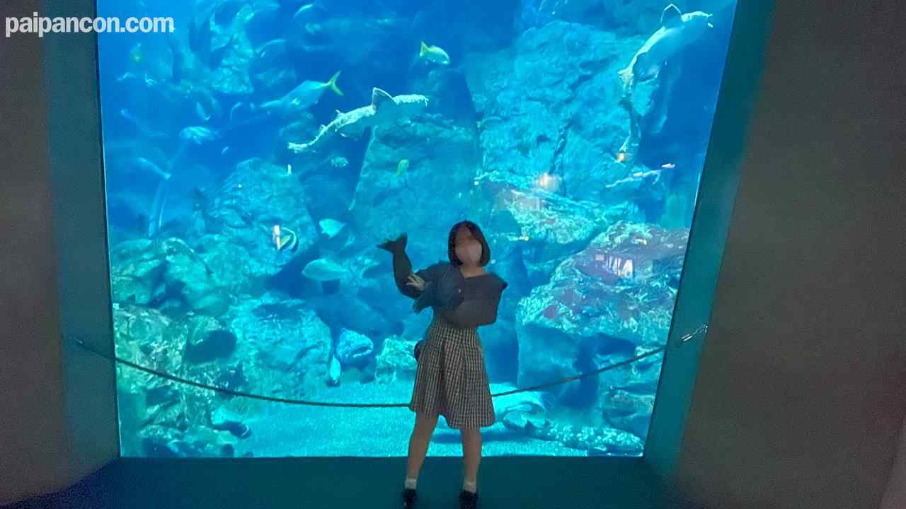 FC2-PPV-3148552 - 第56貝 まだ彼氏とエッチしたことない19歳はなちゃん水族館デートからNTRセックス♥没頭し過ぎてだらしなく舌を垂らす口元からチラリとのぞく歯列矯正器具が妙にエロい♥