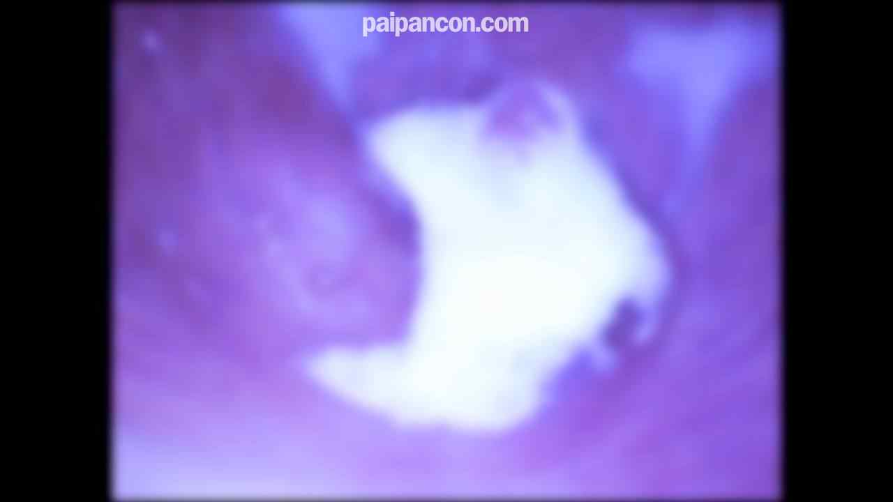 FC2-PPV-4631897 - ★特典で無修正と膣内カメラ ♀140 美顔でスレンダーで感度抜群で愛嬌もいい・笑顔もGOODなくろちゃんと中出しセックス！まだ出さないでもっと突いて！の懇願におじさんもたじたじ汗 thumbnail_9.jpg