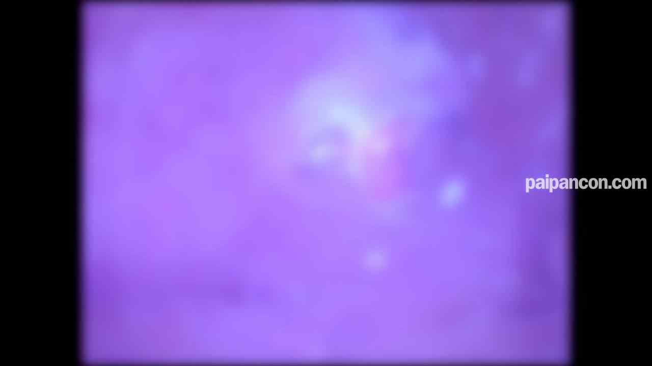 FC2-PPV-4690187 - ★特典で無修正と膣内カメラ ♀157 おじさんは感度抜群のおなごとべろちゅー＆半外半中で生中出ししまくってエナジーを吸収して生きているんです♡ thumbnail_8.jpg